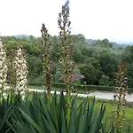 Quinta Do Correia